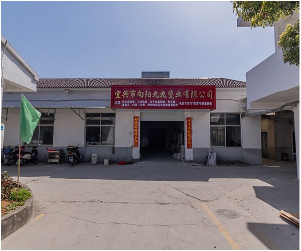 向阳九九形象视频